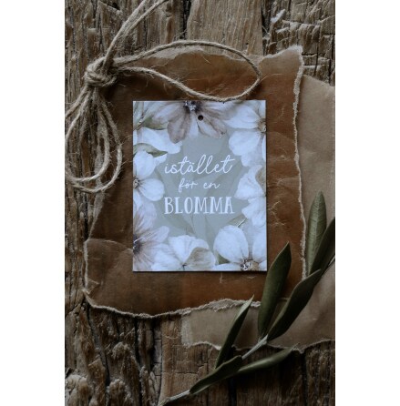 Majas Gvokort Istllet fr en blomma