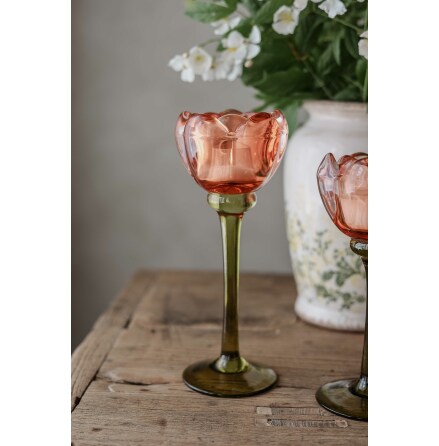 Ljushllare p fot Rose Stor Orange