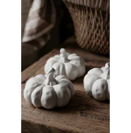 Majas Pumpa