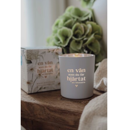 Majas lykta En vn som du fr hjrtat att blomstra