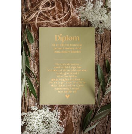 Majas Vykort Diplom till en fantastisk person i skolans vrld