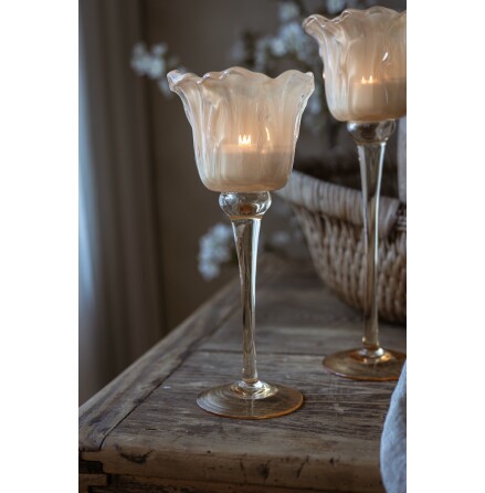 Ljuslykta p� fot Blomma Aprikos Liten