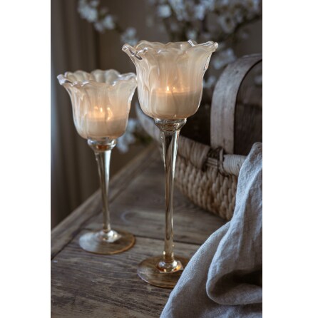 Ljuslykta p� fot Blomma Aprikos Stor