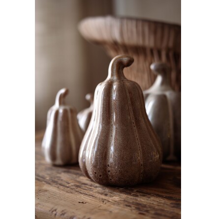 Pumpa Judy Beige Stor