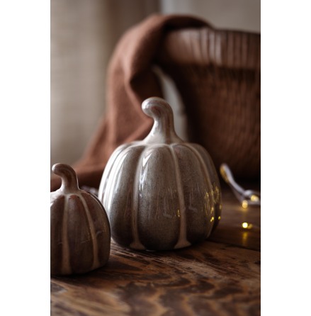 Pumpa Lily Beige Stor